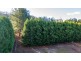 17A Atkinsons Road, Grindelwald TAS 7277