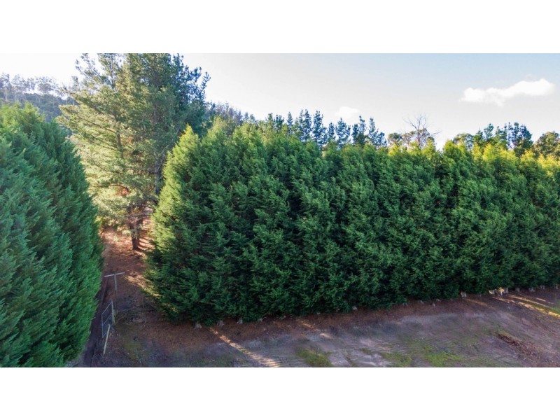 17A Atkinsons Road, Grindelwald TAS 7277