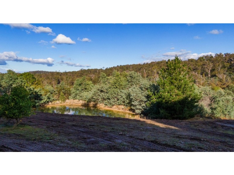 17A Atkinsons Road, Grindelwald TAS 7277