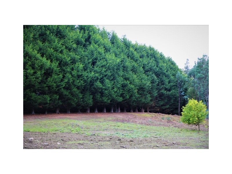 17A Atkinsons Road, Grindelwald TAS 7277