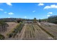 4034 Bridport Road, Pipers Brook TAS 7254