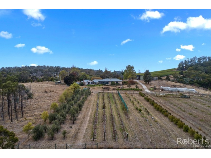 4034 Bridport Road, Pipers Brook TAS 7254