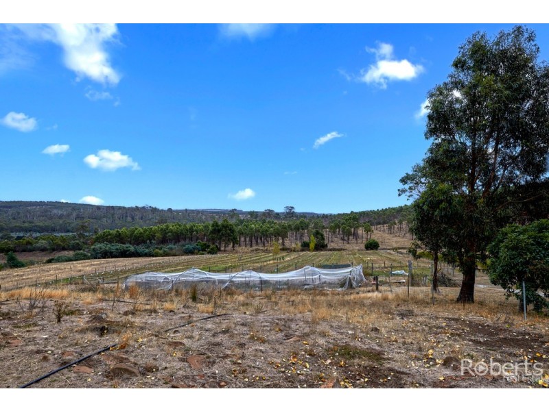 4034 Bridport Road, Pipers Brook TAS 7254