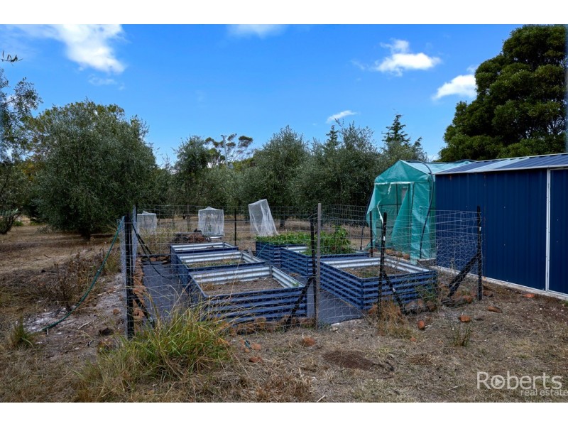 4034 Bridport Road, Pipers Brook TAS 7254
