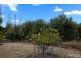 4034 Bridport Road, Pipers Brook TAS 7254