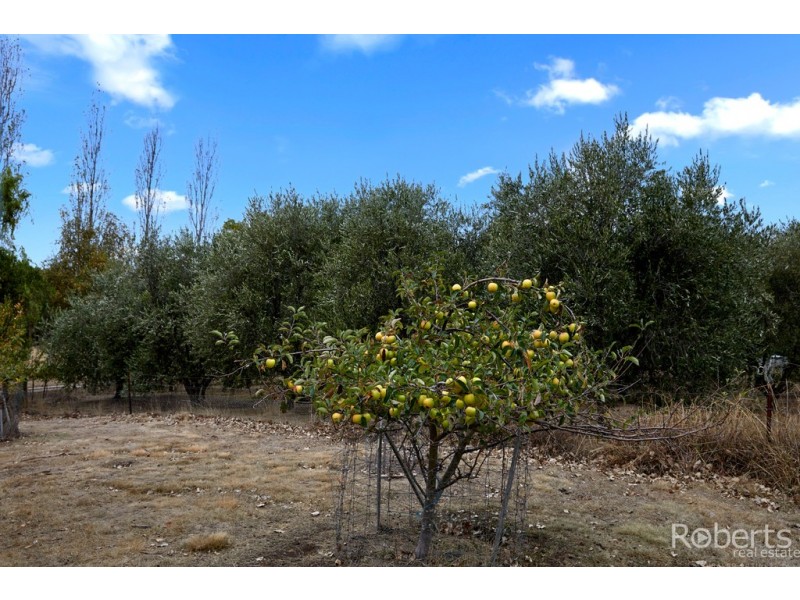4034 Bridport Road, Pipers Brook TAS 7254
