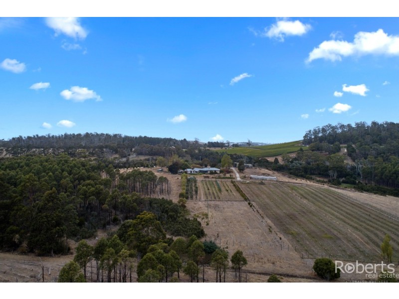 4034 Bridport Road, Pipers Brook TAS 7254