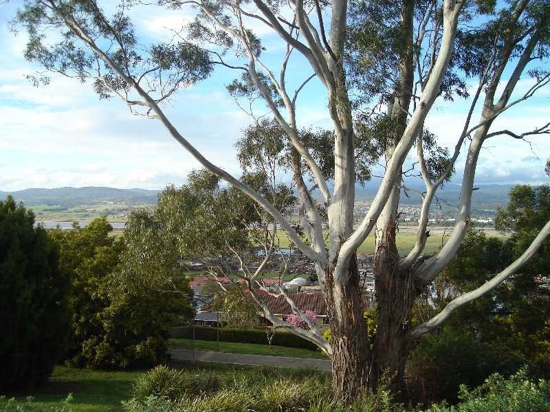 48-50 Penrith Street, Riverside TAS 7250