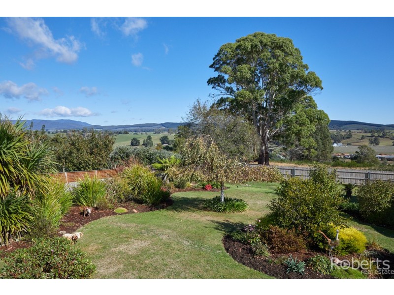 16 Albert Street, Branxholm TAS 7261