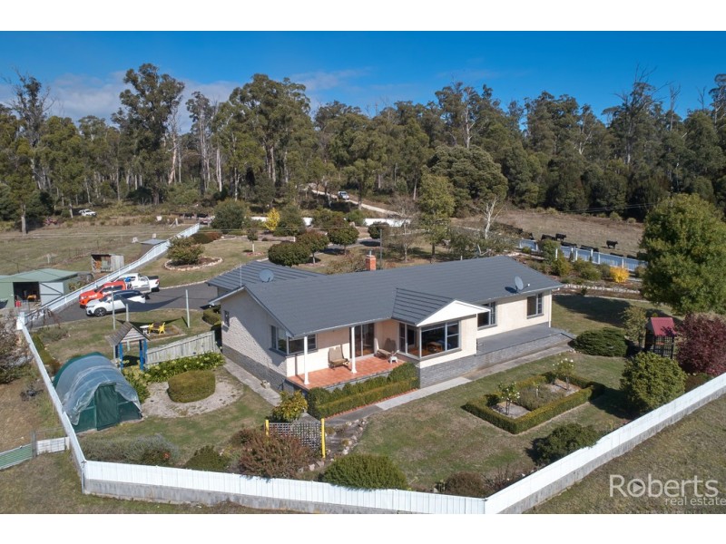 480 Jensens Road, Scottsdale TAS 7260