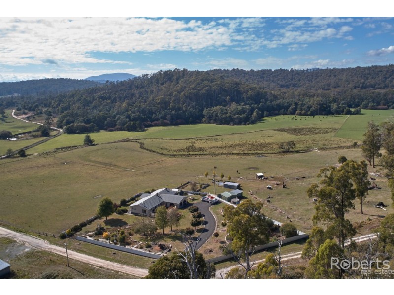 480 Jensens Road, Scottsdale TAS 7260