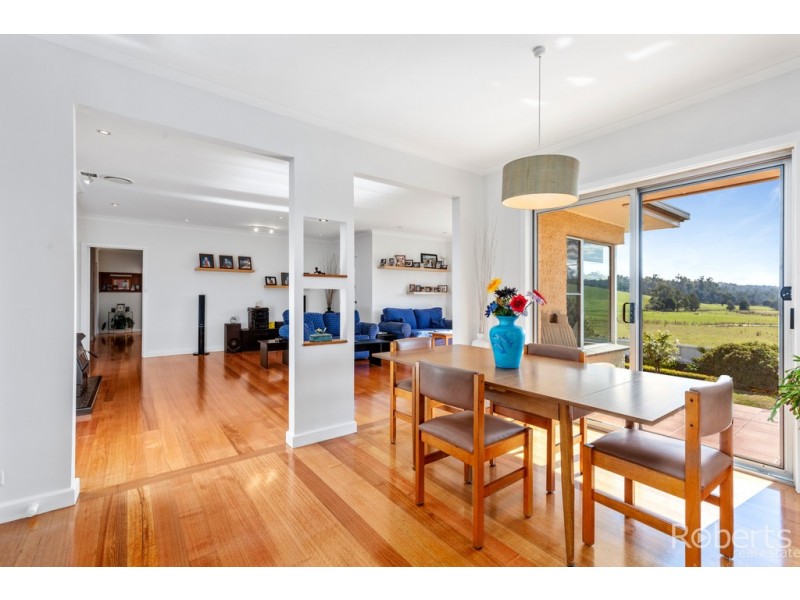 480 Jensens Road, Scottsdale TAS 7260