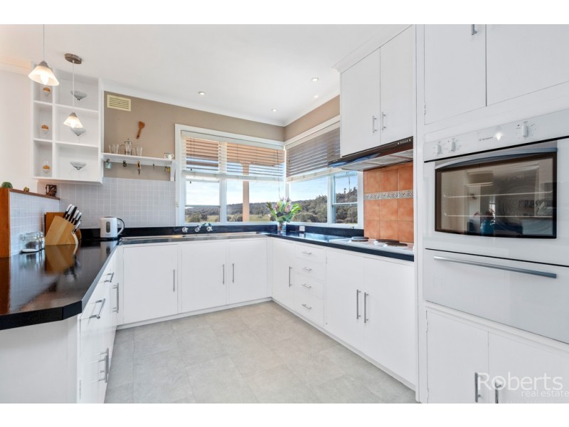 480 Jensens Road, Scottsdale TAS 7260