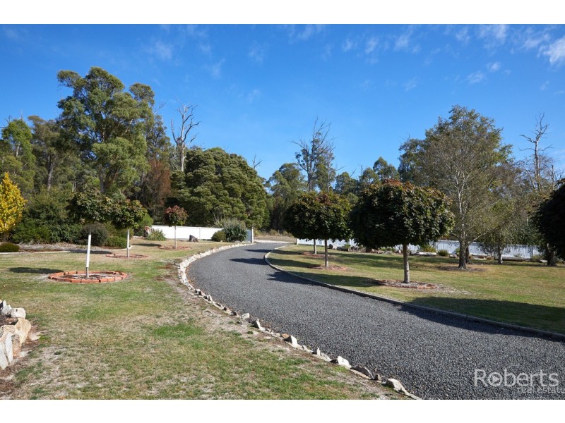 480 Jensens Road, Scottsdale TAS 7260