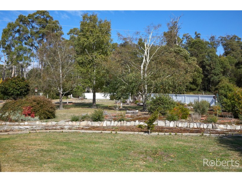 480 Jensens Road, Scottsdale TAS 7260