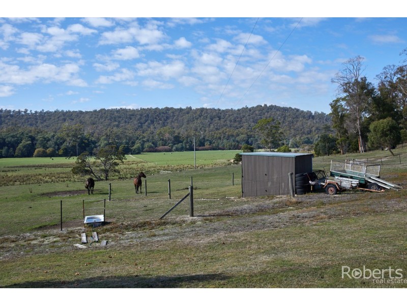 480 Jensens Road, Scottsdale TAS 7260