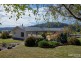 480 Jensens Road, Scottsdale TAS 7260