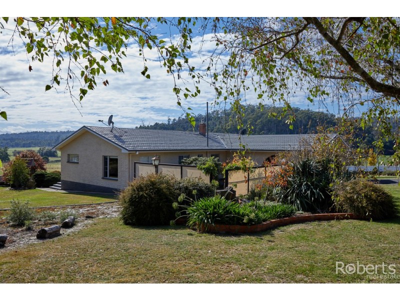 480 Jensens Road, Scottsdale TAS 7260