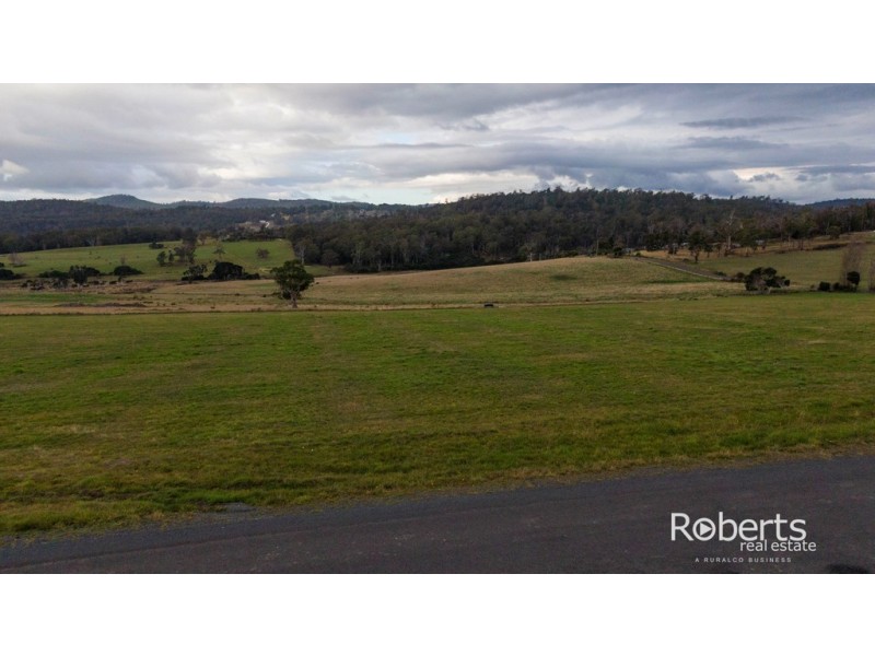 10 Millhaven Way, Swan Bay TAS 7252