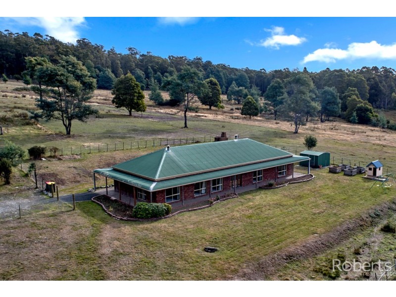 441 Gundagai Road, Tunnel TAS 7254