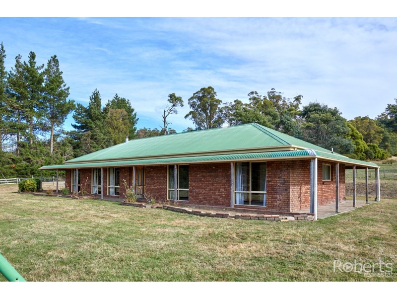 441 Gundagai Road, Tunnel TAS 7254