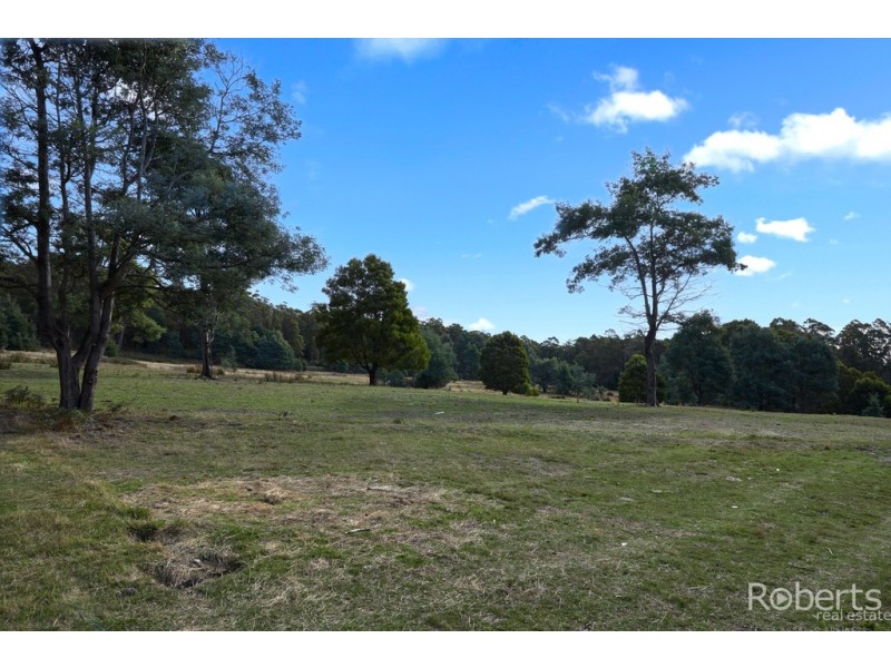 441 Gundagai Road, Tunnel TAS 7254
