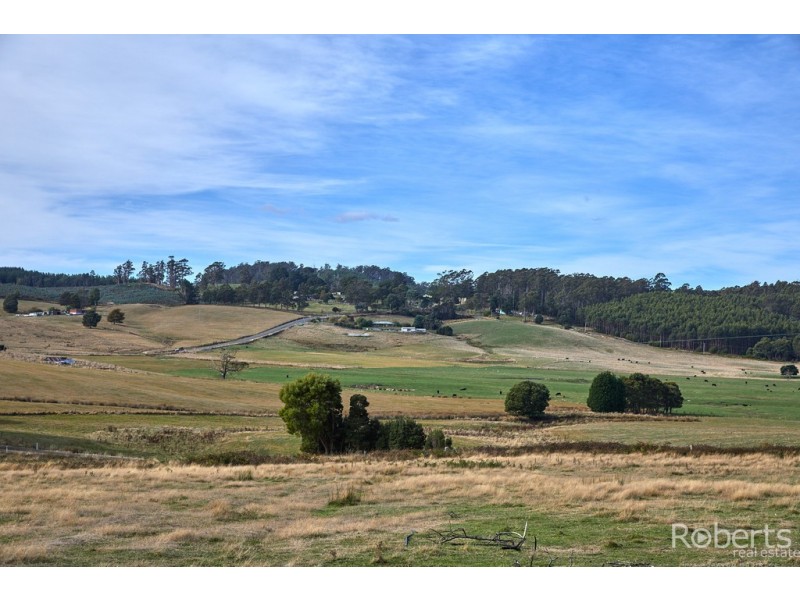 441 Gundagai Road, Tunnel TAS 7254
