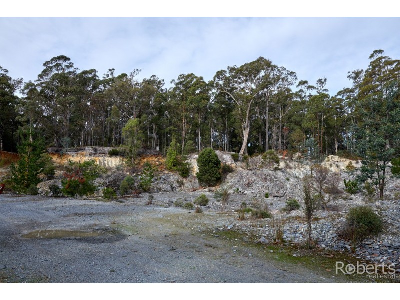 441 Gundagai Road, Tunnel TAS 7254