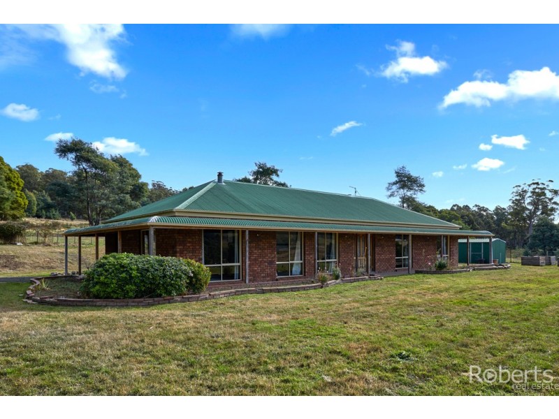 441 Gundagai Road, Tunnel TAS 7254