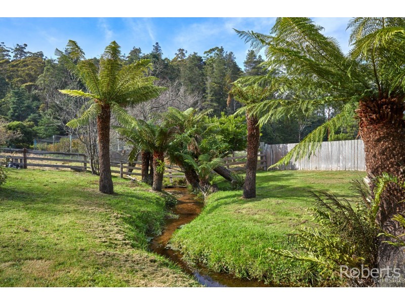 27883 Tasman Highway, Pyengana TAS 7216