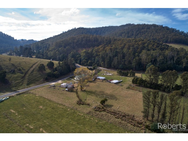 27883 Tasman Highway, Pyengana TAS 7216