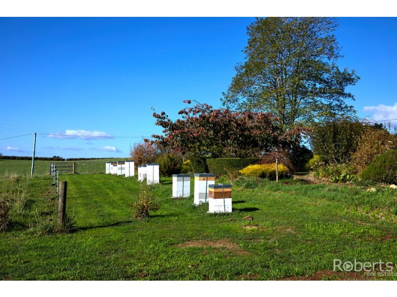 20 Racecourse Road, Winnaleah TAS 7265