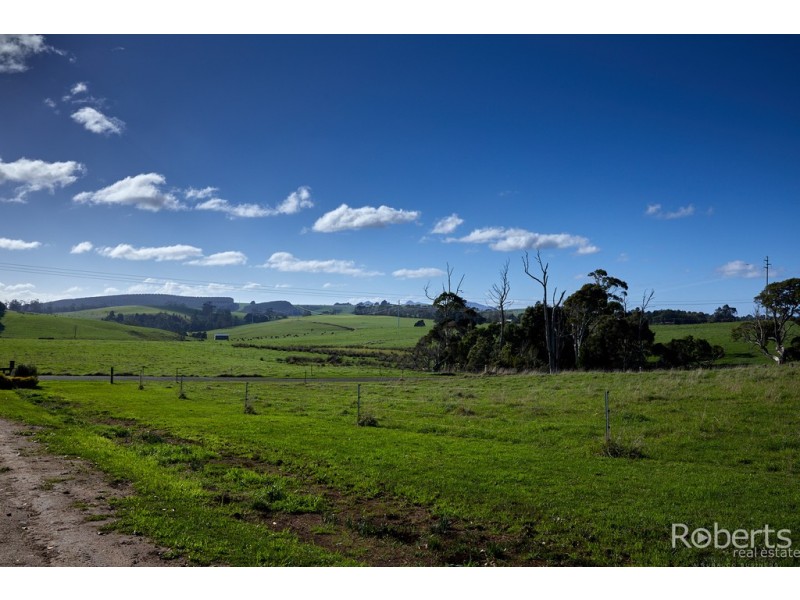 20 Racecourse Road, Winnaleah TAS 7265