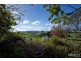 20 Racecourse Road, Winnaleah TAS 7265