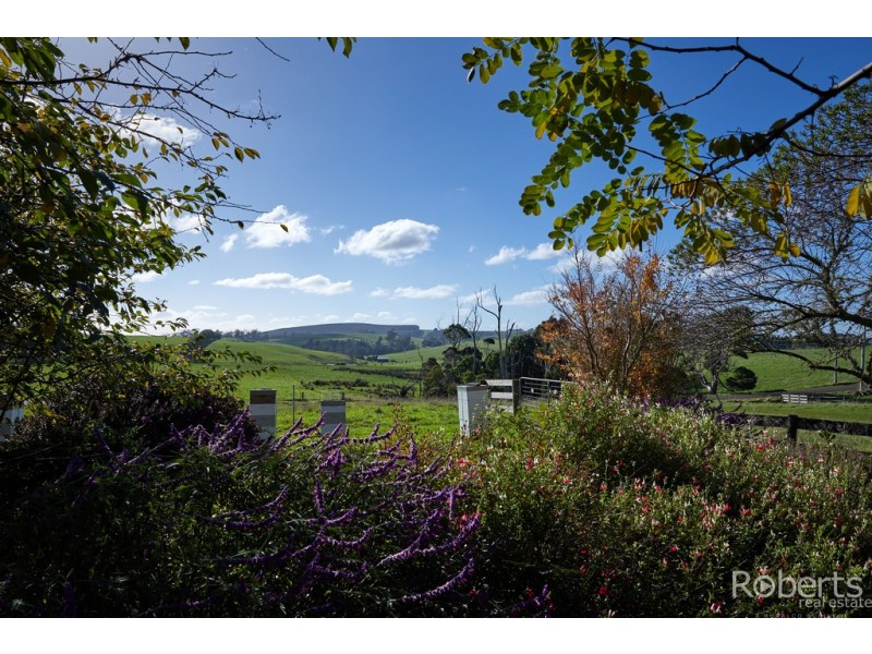 20 Racecourse Road, Winnaleah TAS 7265