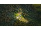 411 Mutual Road, Derby TAS 7264