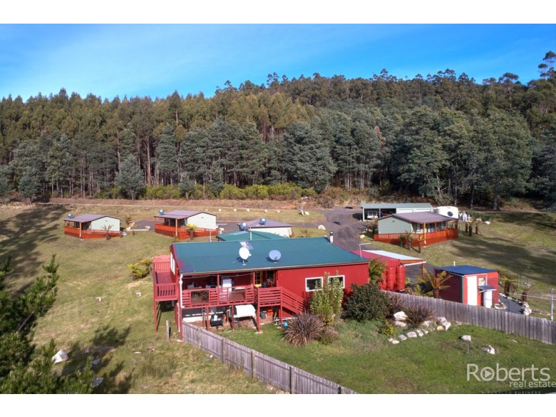 411 Mutual Road, Derby TAS 7264