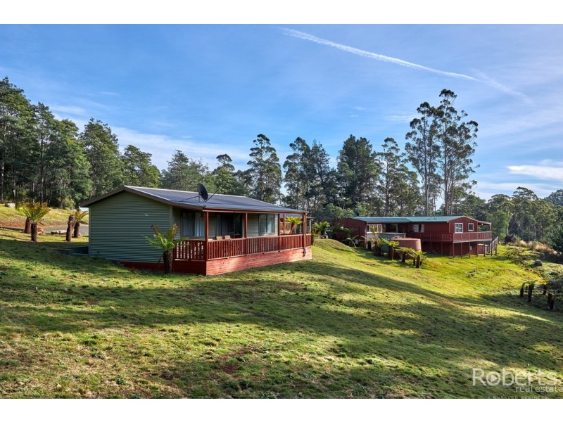 411 Mutual Road, Derby TAS 7264