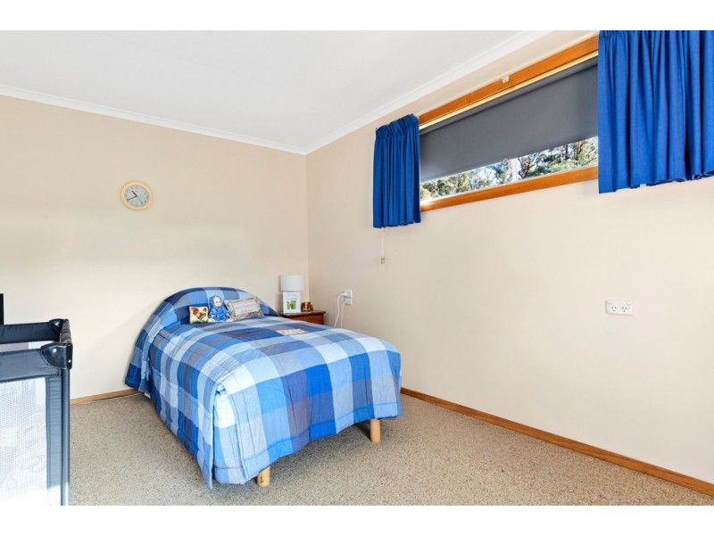 139 Muskfield Road, Jetsonville TAS 7260