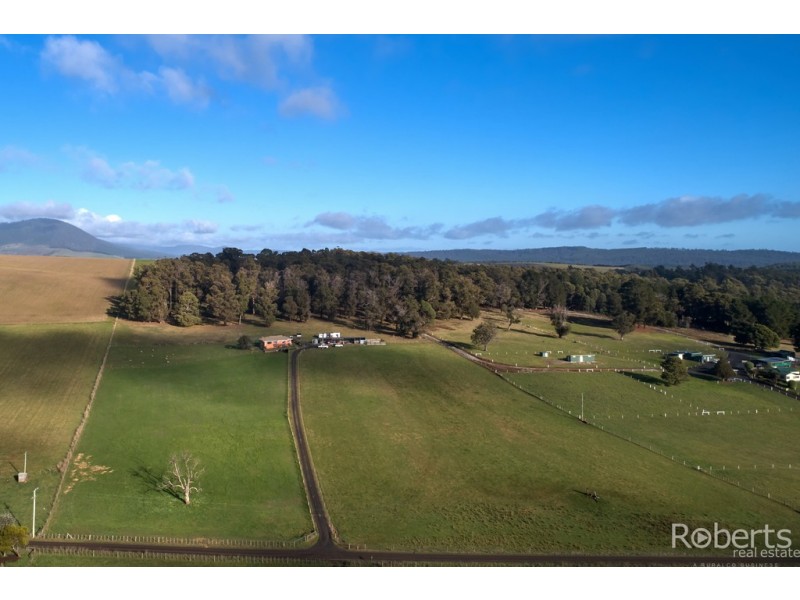 139 Muskfield Road, Jetsonville TAS 7260