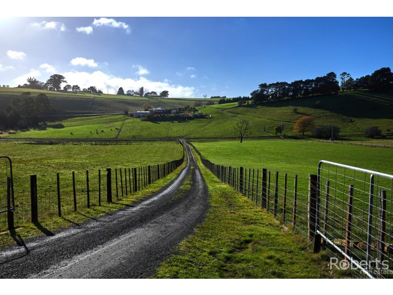 139 Muskfield Road, Jetsonville TAS 7260