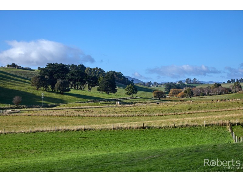 139 Muskfield Road, Jetsonville TAS 7260