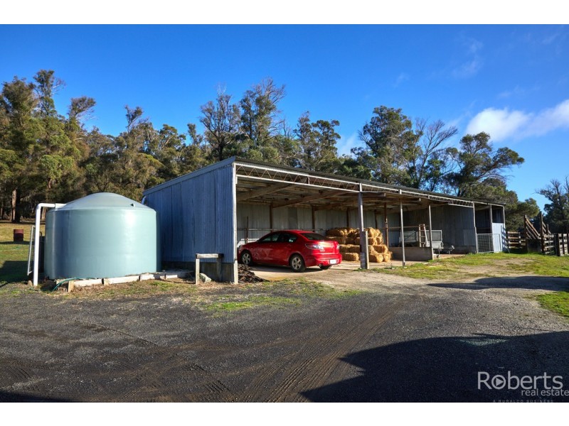 139 Muskfield Road, Jetsonville TAS 7260