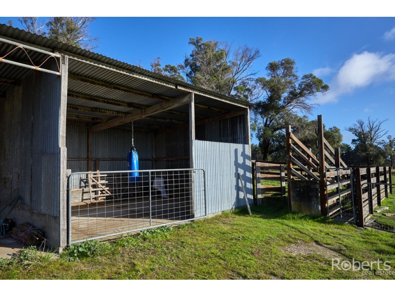 139 Muskfield Road, Jetsonville TAS 7260