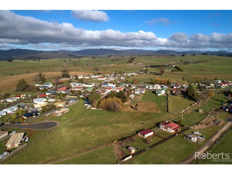 49 Winnaleah Road, Winnaleah TAS 7265