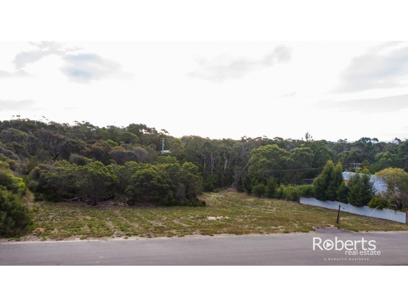 34 Pars Road, Greens Beach TAS 7270