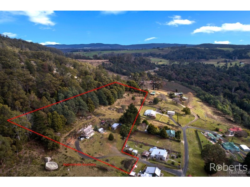 6 North Street, Derby TAS 7264