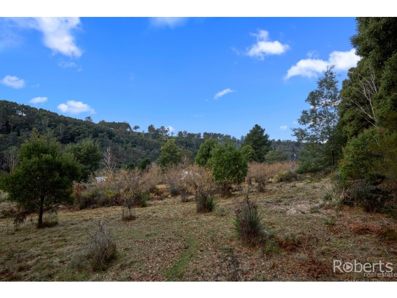 6 North Street, Derby TAS 7264