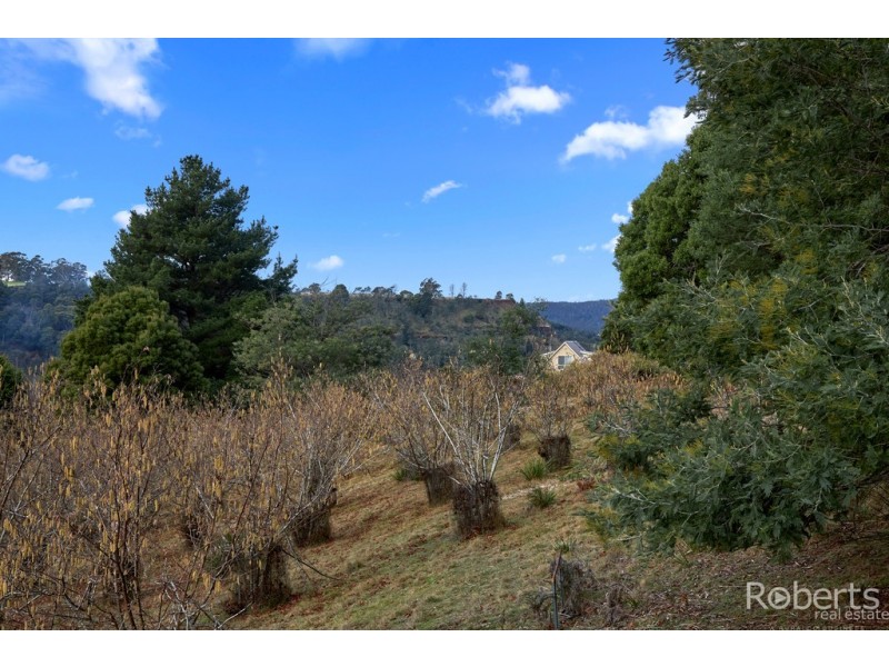 6 North Street, Derby TAS 7264