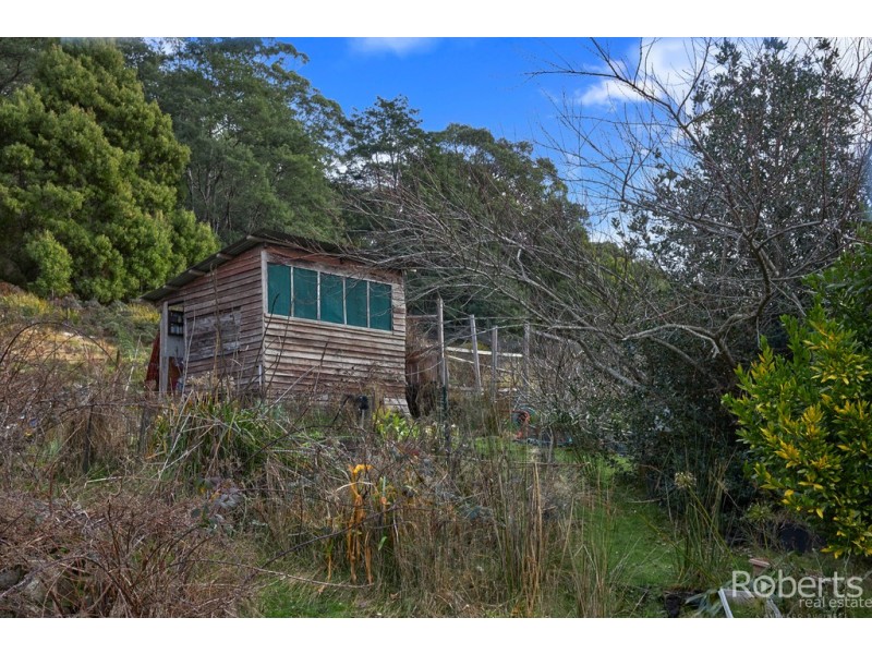6 North Street, Derby TAS 7264
